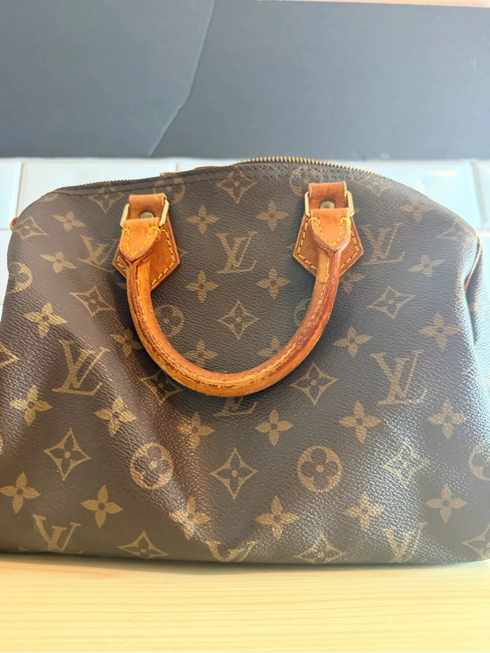 Louis Vuitton iconic louis